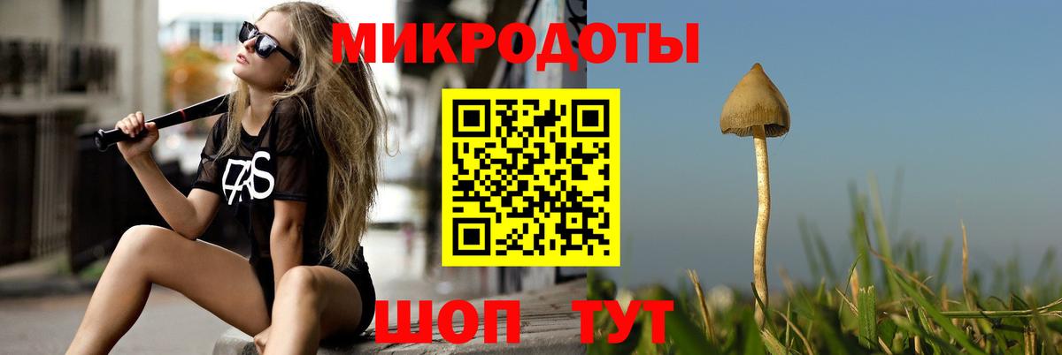 Кинешма  что такое наркотик  Вход с VPN  Псилоцибиновые грибы Psilocybine cubensis 
